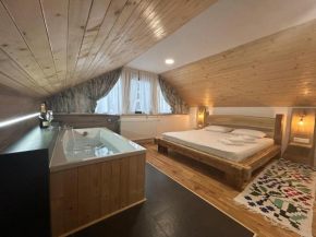 Căsuța de pe Coastă - Cabana Gotan
